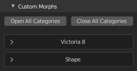 Diffeomorphic: Morphs Panel