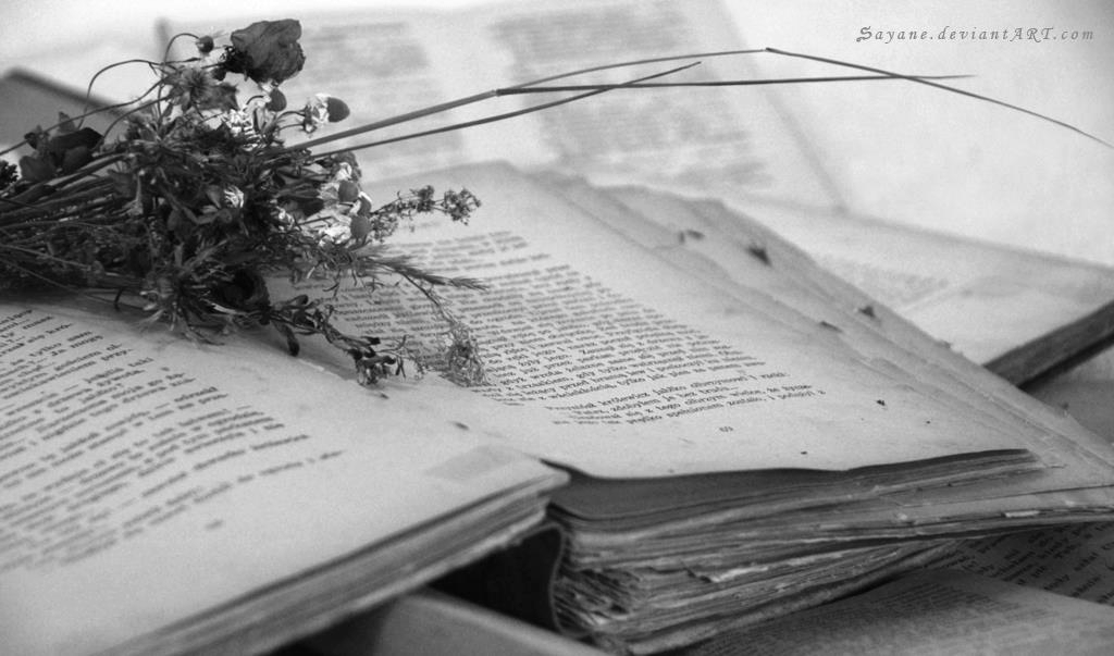 перо писателя. перо писать. ручка и бумага. перо писателя. лирика поэзия.