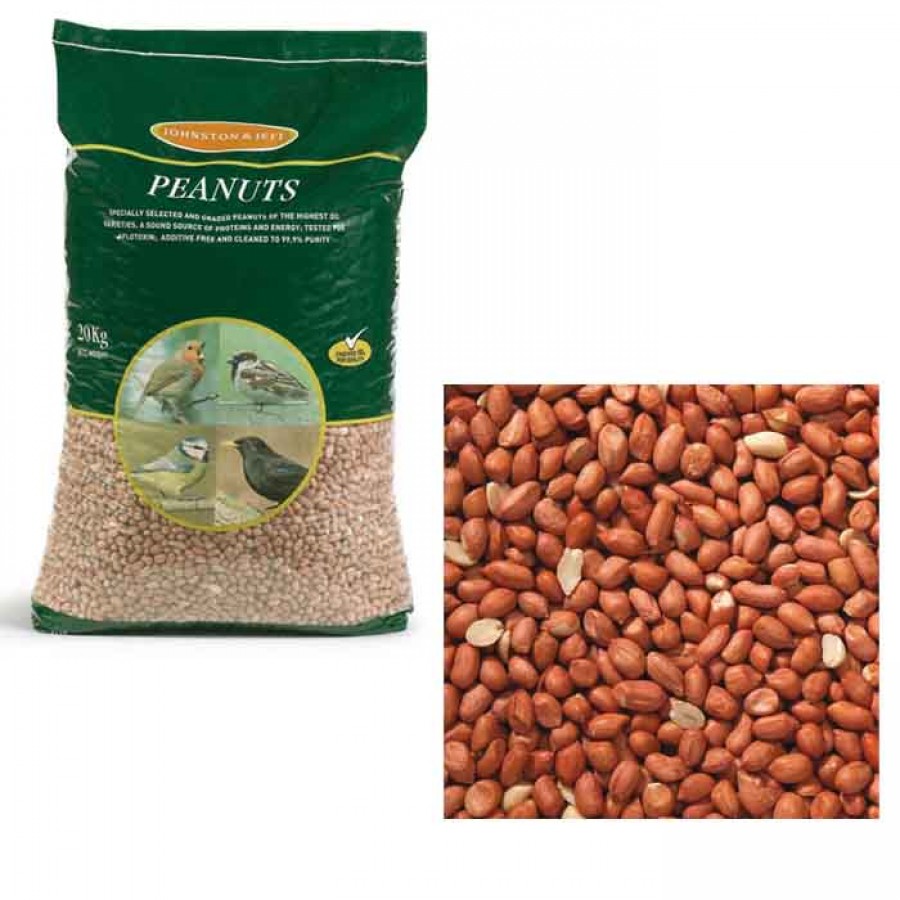 Bird In Everything Bird From Peanuts