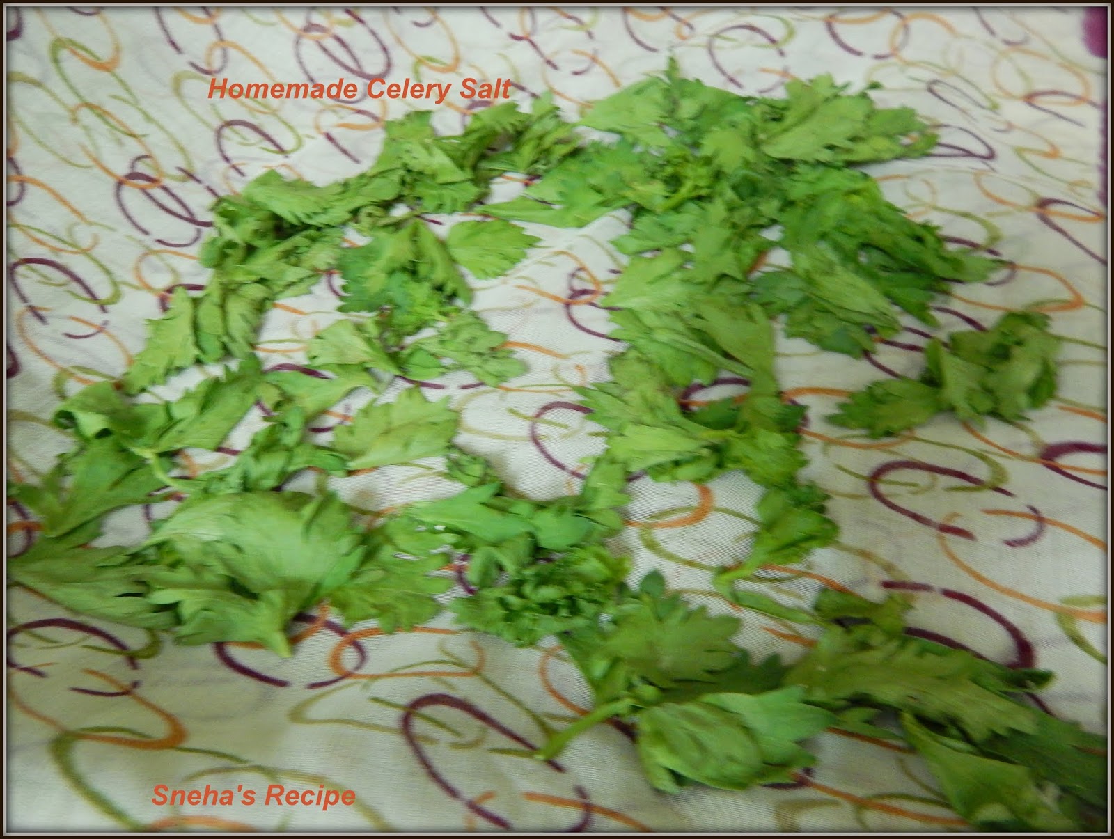 Homemade Celery SaltFoodieextravaganza Sneha's Recipe