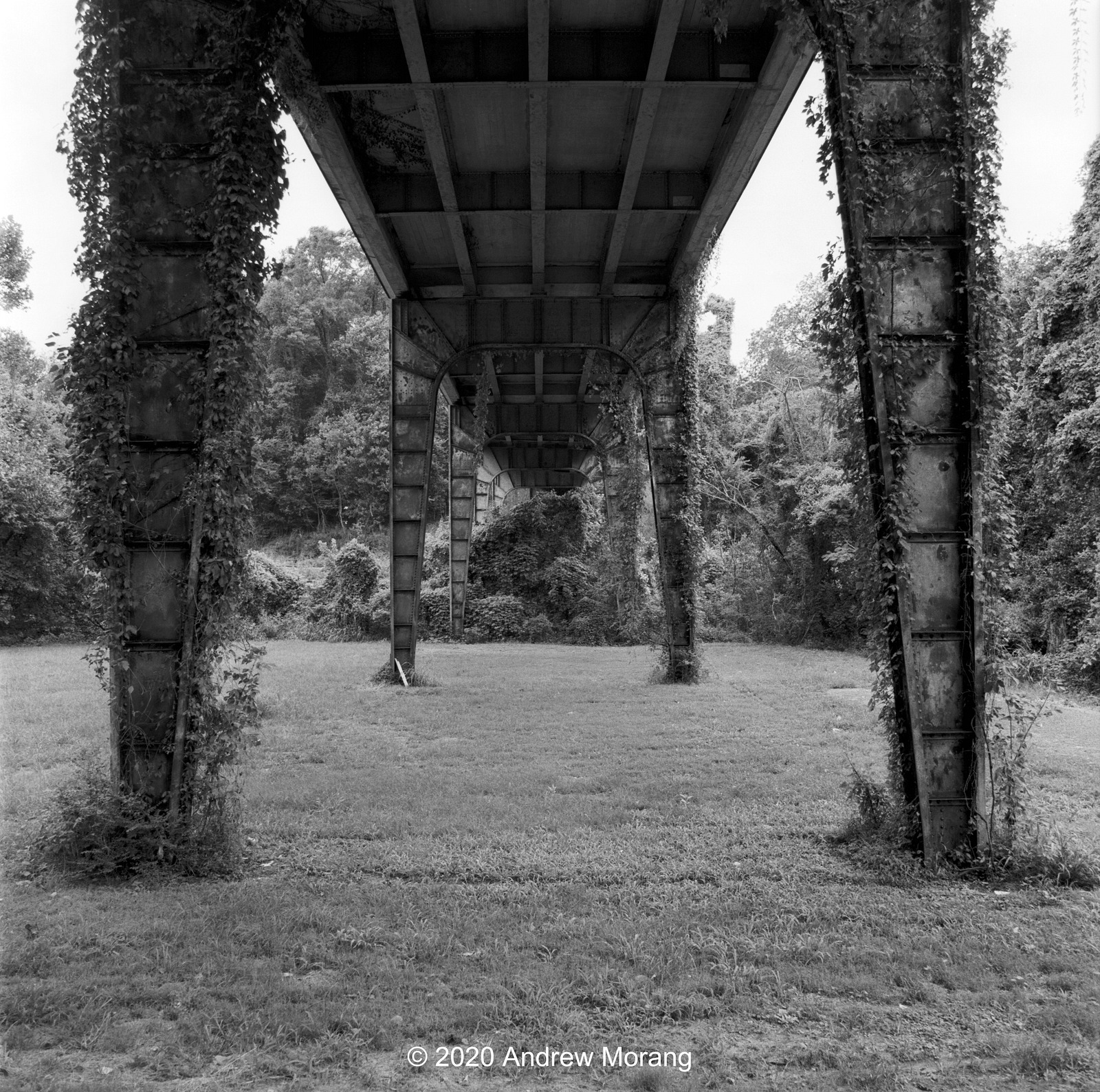 Urban Decay Vicksburg's Railroad Bridges and Crossings (More Snow)
