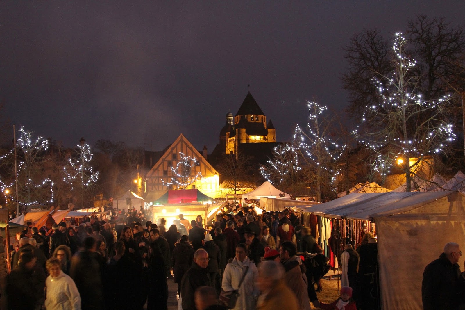 sorties en seine et marne: Le marché de noël médiéval de Provins