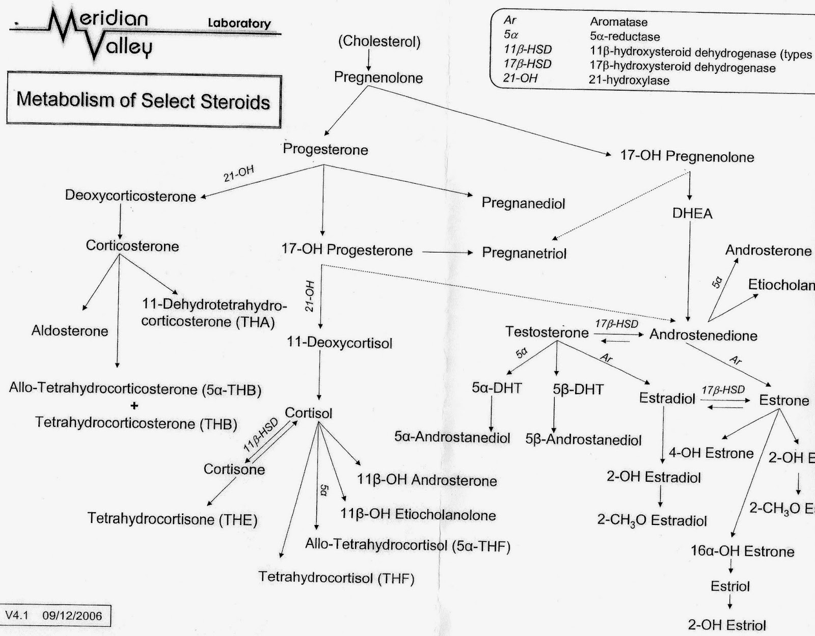 Kroppen o Själen Forts. Hormoner DHEA "The antiaging hormone". /Cont