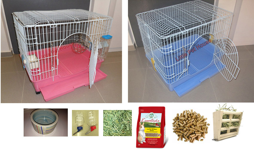 Little Pet House Your Budget Friendly Online Pet Shop in Singapore