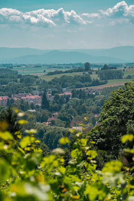 Grenzlandtour Schweigen-Rechtenbach | Bad Bergzaberner Land | Wandern Südliche Weinstraße 16