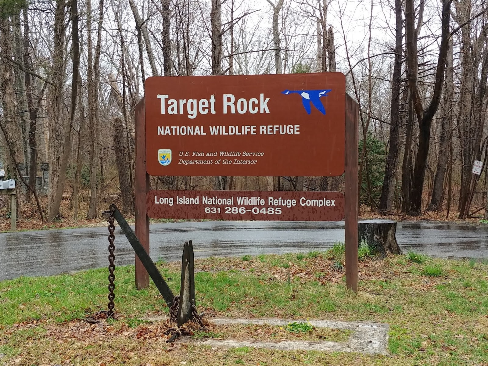 A Mike Who Likes to Hike