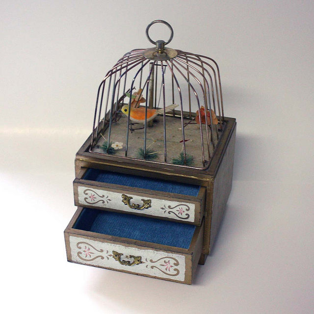 Bird In Everything Bird Cage Music Box