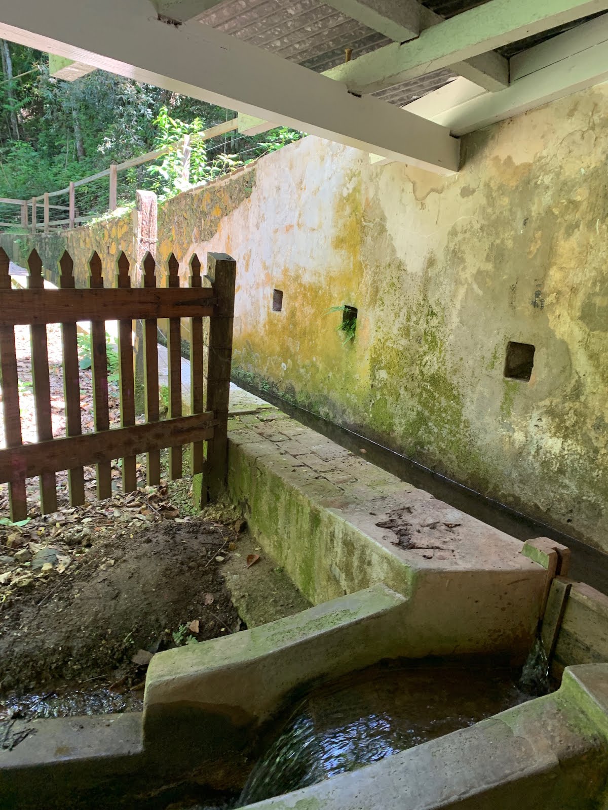 Things we did today... The River That Powers Coffee Hacienda Buena