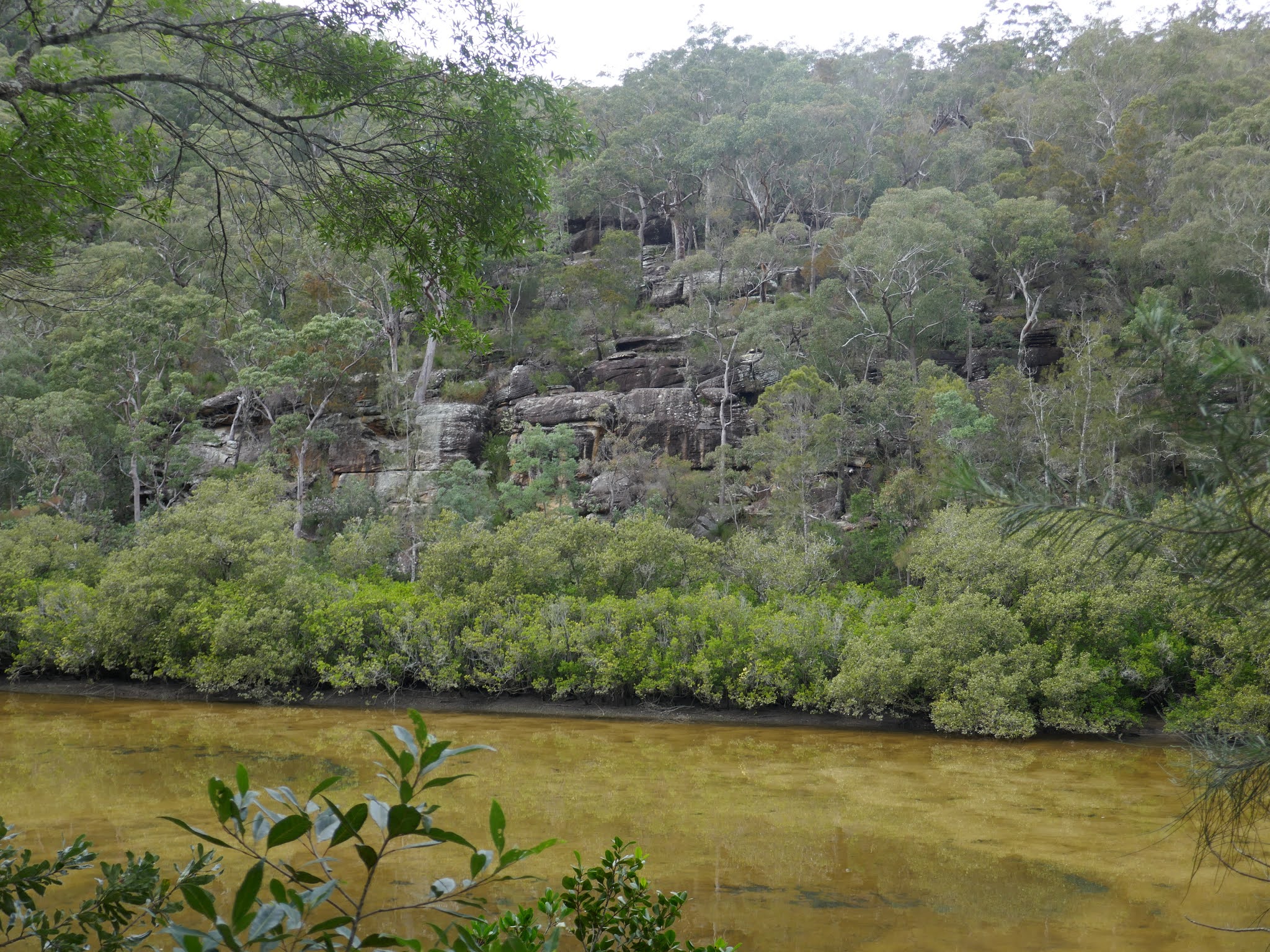 All The Gear But No Idea Cockle Creek & Cowan Water The Gibberagong
