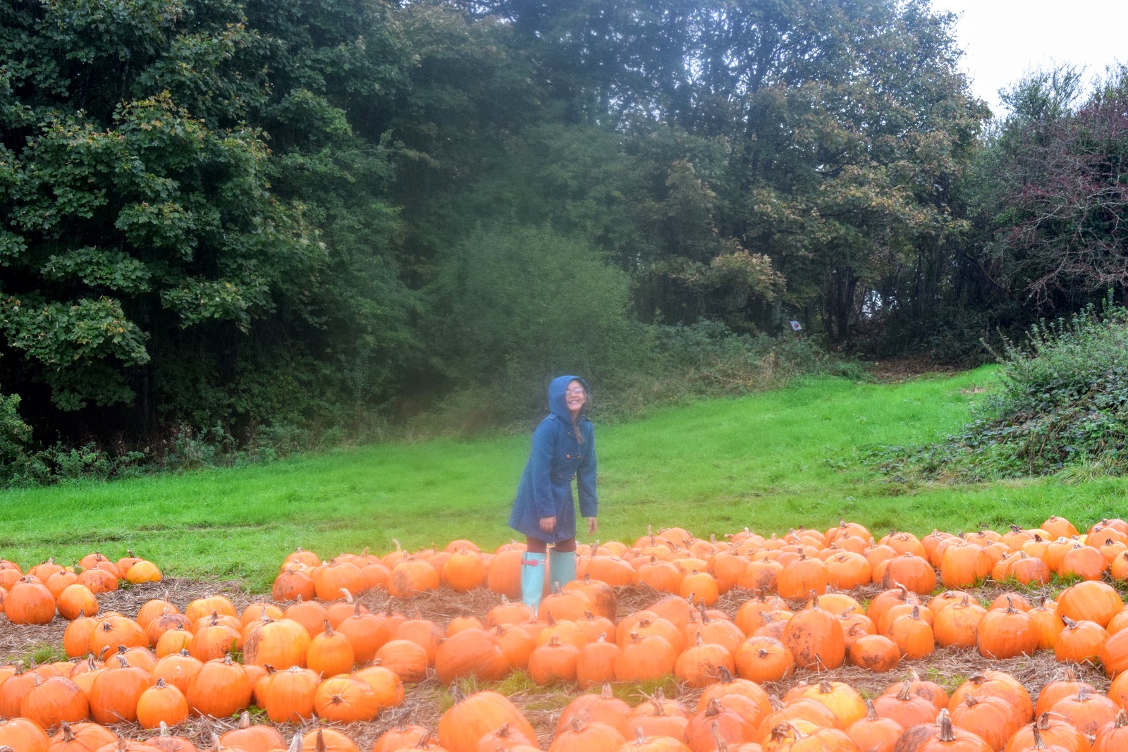 pumpkin-selecting-and-vegan-pumpkin-pie-recipe-halloween-in2-wales
