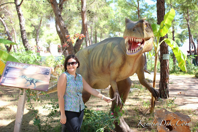 Türkiye'deki tematik parklar