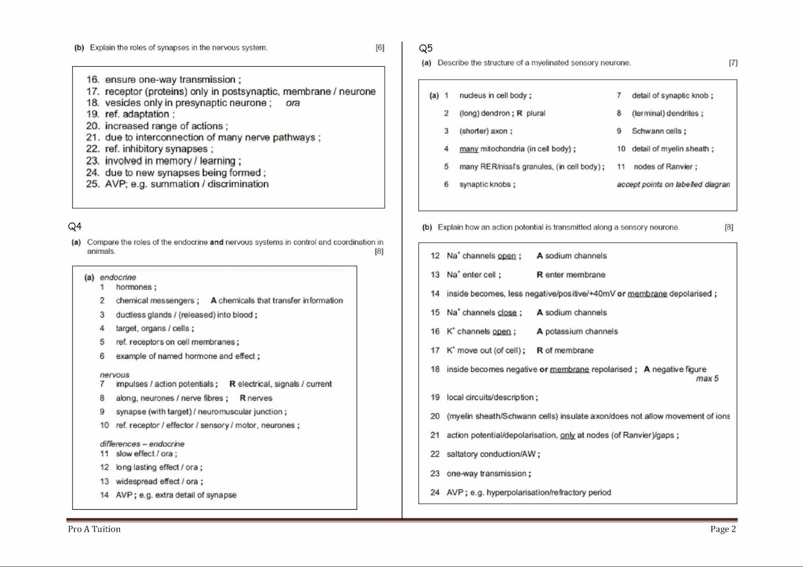 Organization essay topic ideas picture