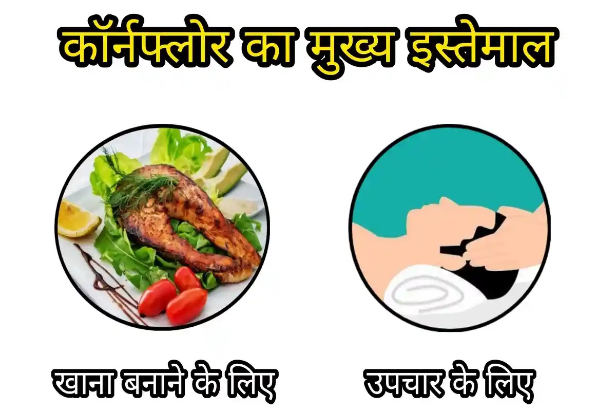 Cornflour in hindi: फायदे, नुकसान, इत्यादि कॉर्नफ्लोर का इस्तेमाल