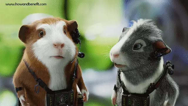 Movie Reviews : Review dan Sinopsis Film G-FORCE (2009) Movie Reviews : Review dan Sinopsis Film G-FORCE (2009)