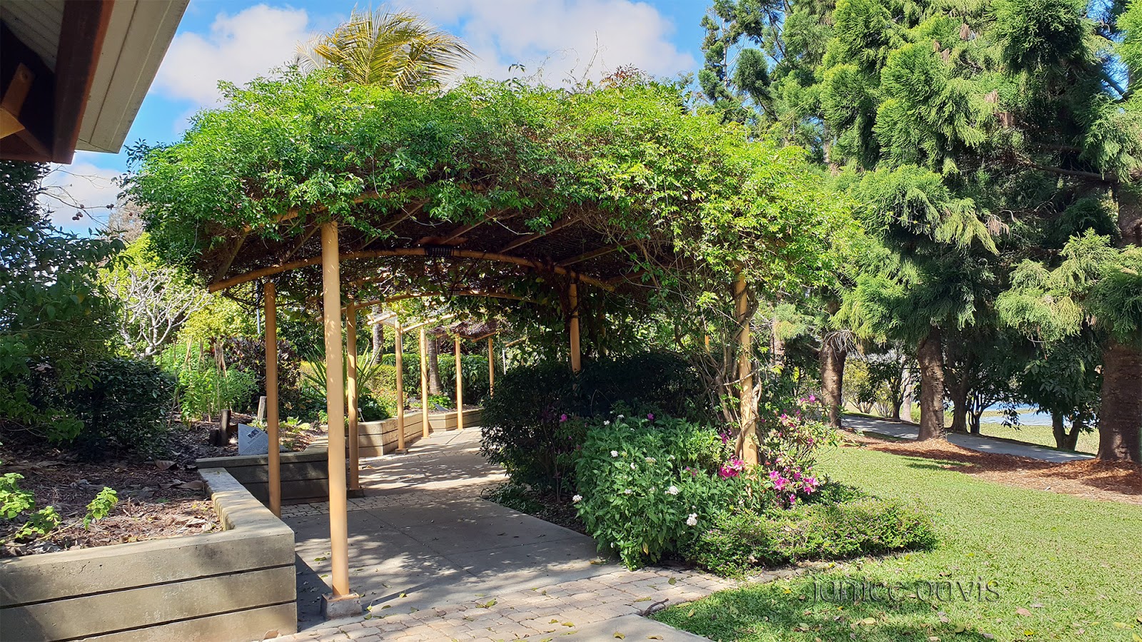 thoughts & happenings Mackay Botanic Gardens.