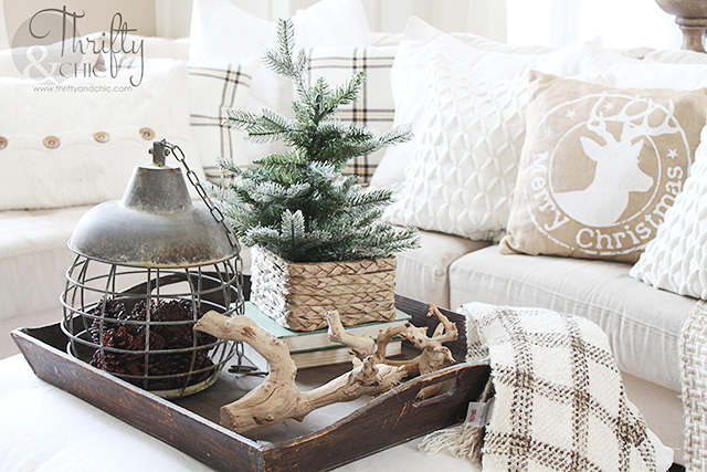 Thrifty And Chic Diy Projects And Home Decor