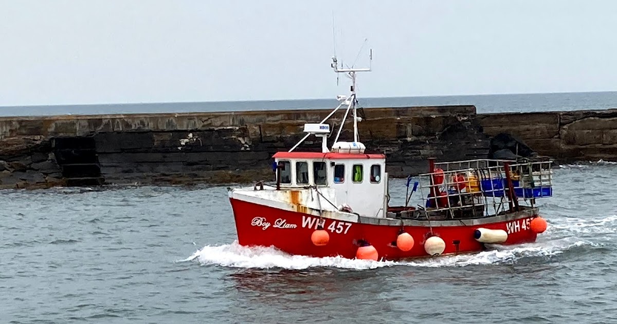 Exploring Amble Quayside