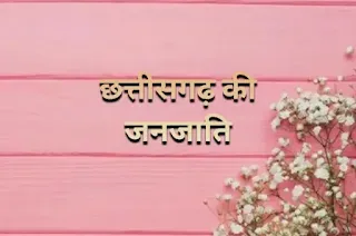 छत्तीसगढ़ की जनजातियां - chhattisgarh