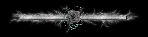 Vestida de Luna: P A Tomo I Capítulo 5: Bala Perdida