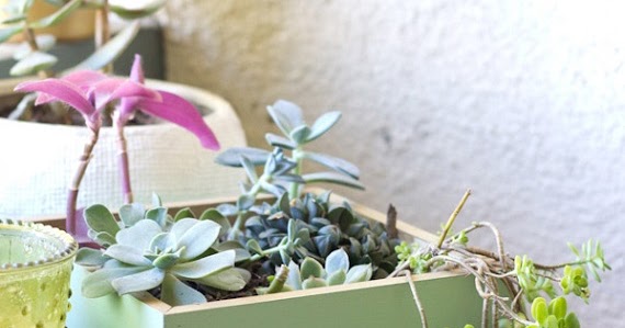 7 DIYs para hacer maceteros molones para tus plantas | Blog F de Fifi