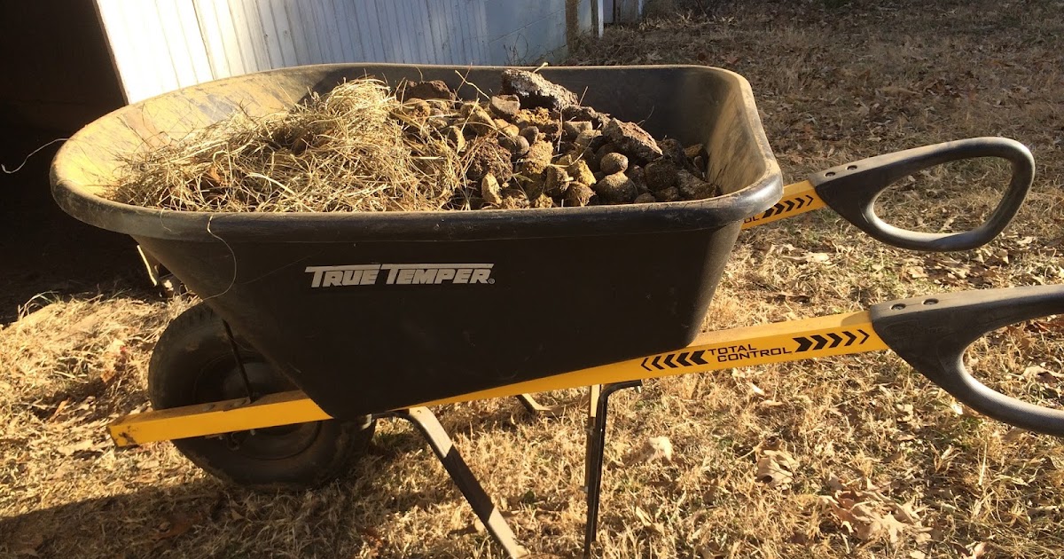 Lines from Leanna The Importance of Mucking Out the Stalls