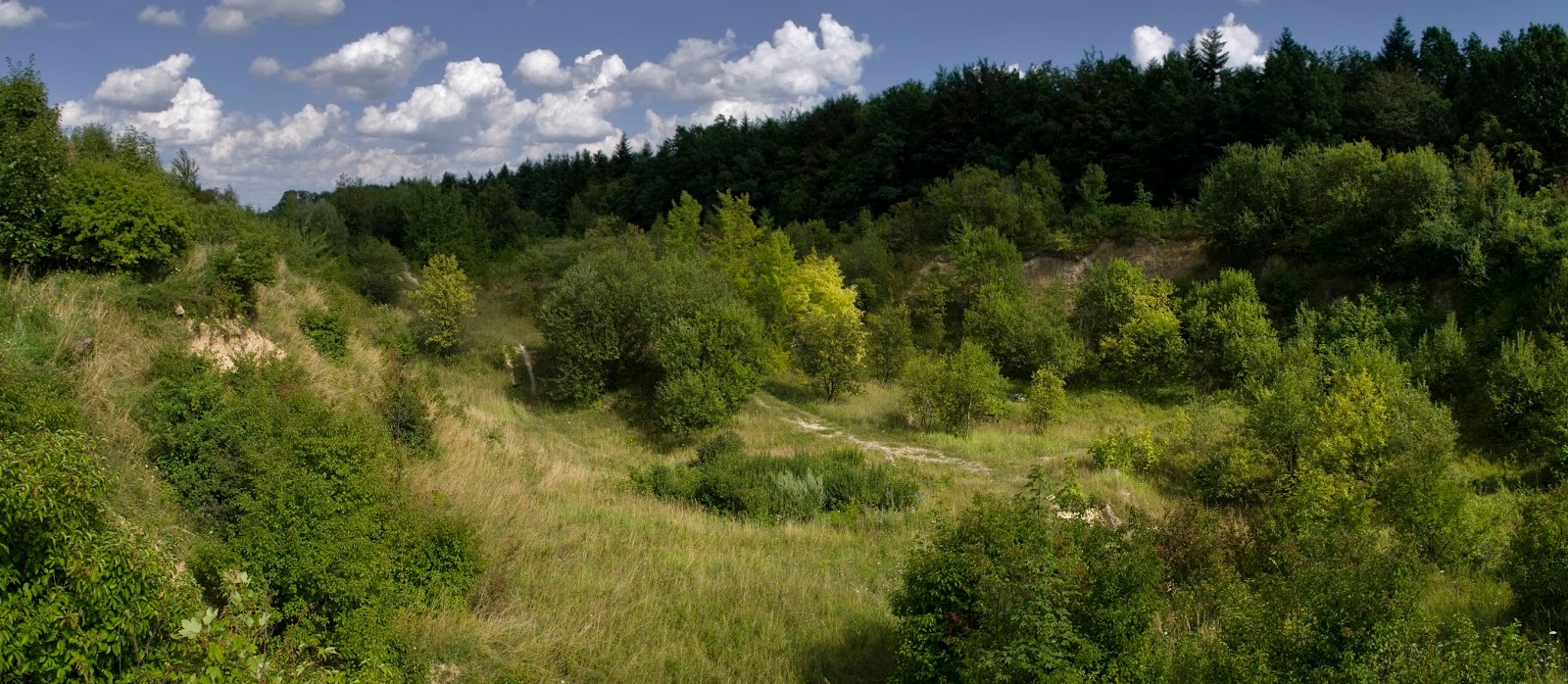 Datowanie koralowców głębinowych