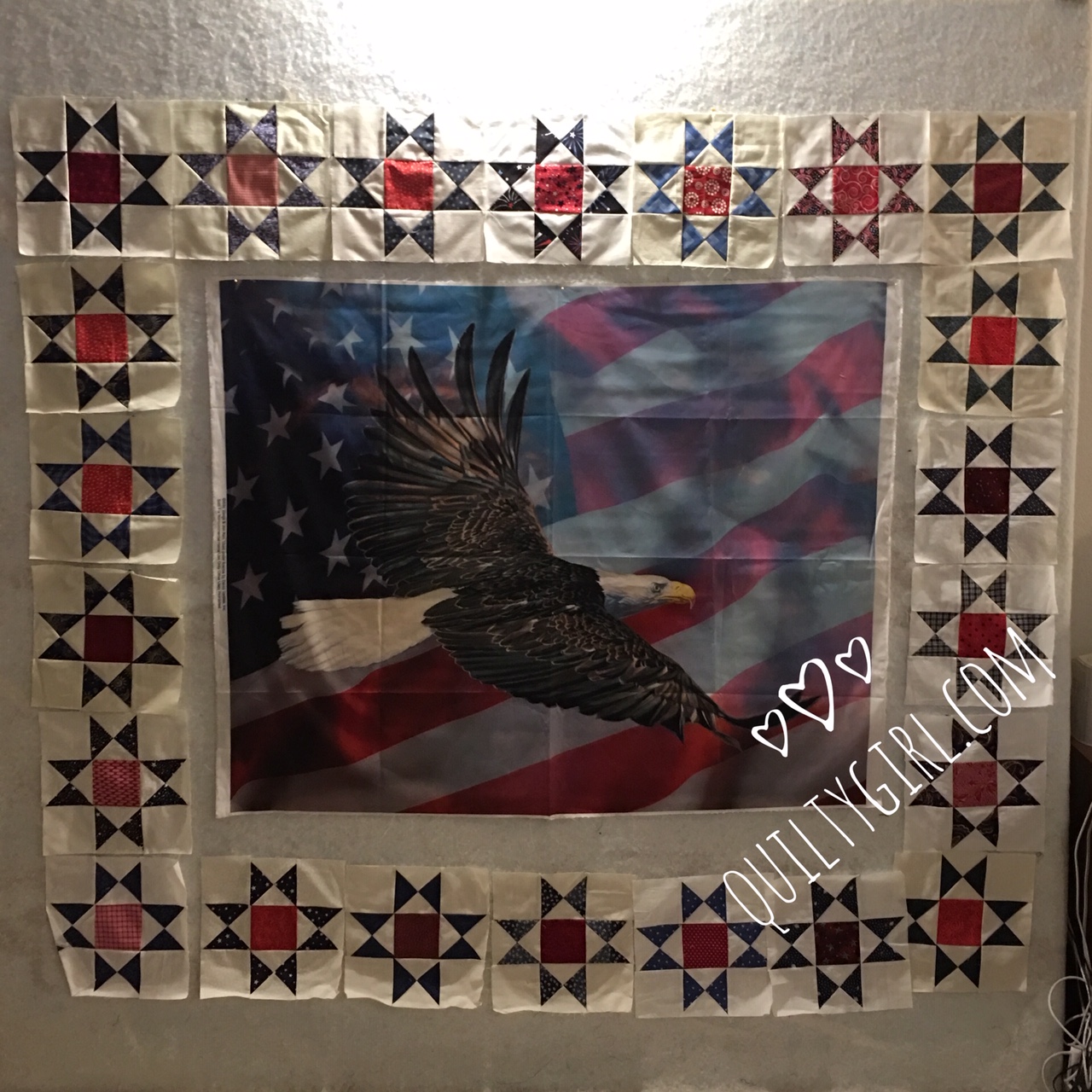 Alycia Quilts Quiltygirl Patriotic Eagle. a Panel