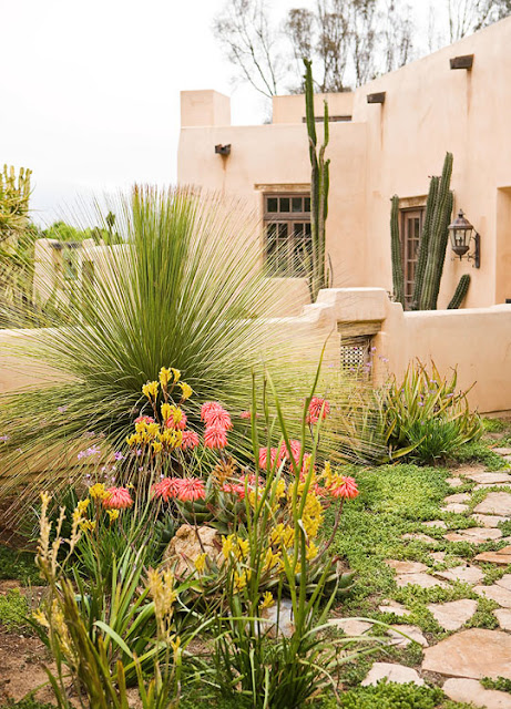 Jardín de cactus y suculentas - Guia de jardin
