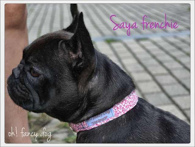 saya the frenchie collar perro oh! fancy dog