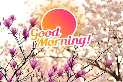 Good Morning Images Good Morning Images