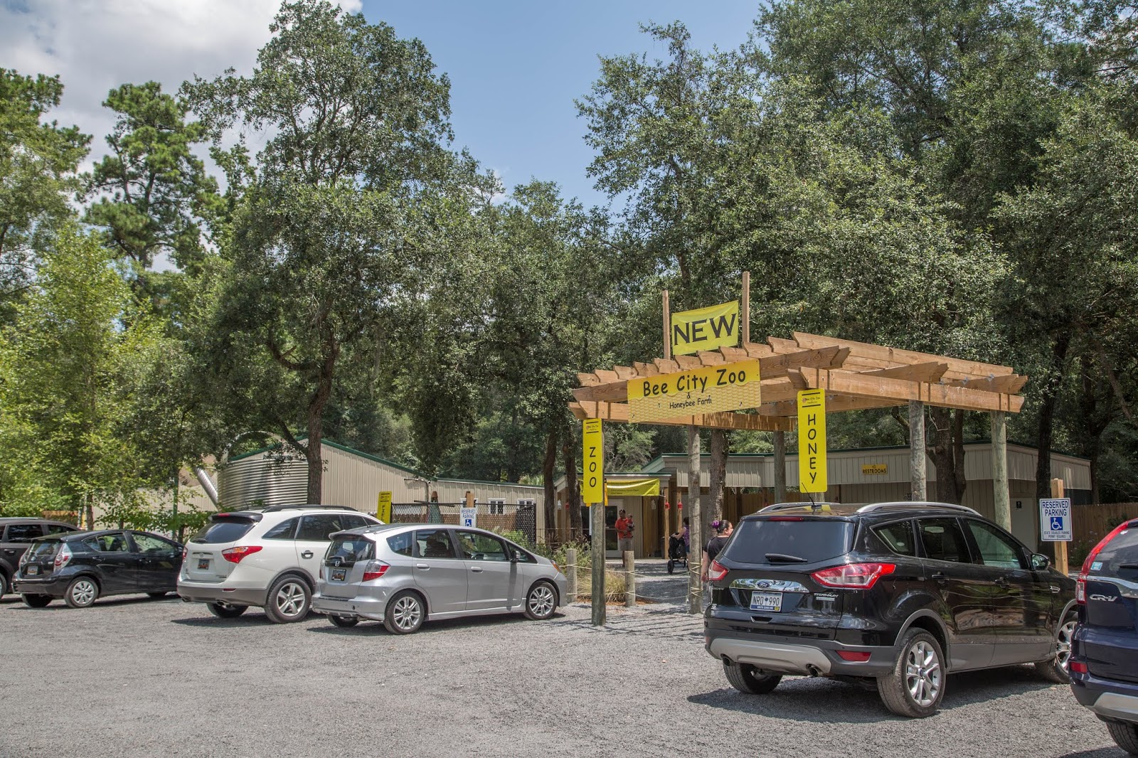 Charleston Daily Photo Bee City Cottageville, SC