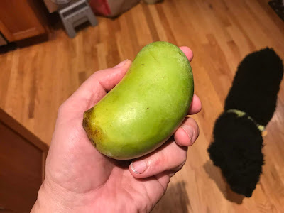 NC-1 Pawpaw