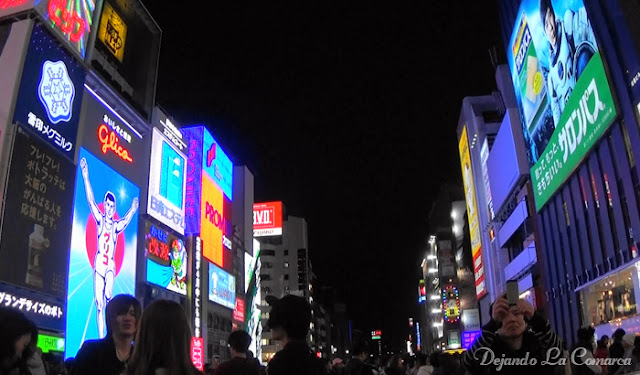 Día 10 - Nara - Osaka - Japón primavera 2016 - 18 días (con bajo presupuesto) (27)