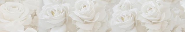  Скинали белые розы