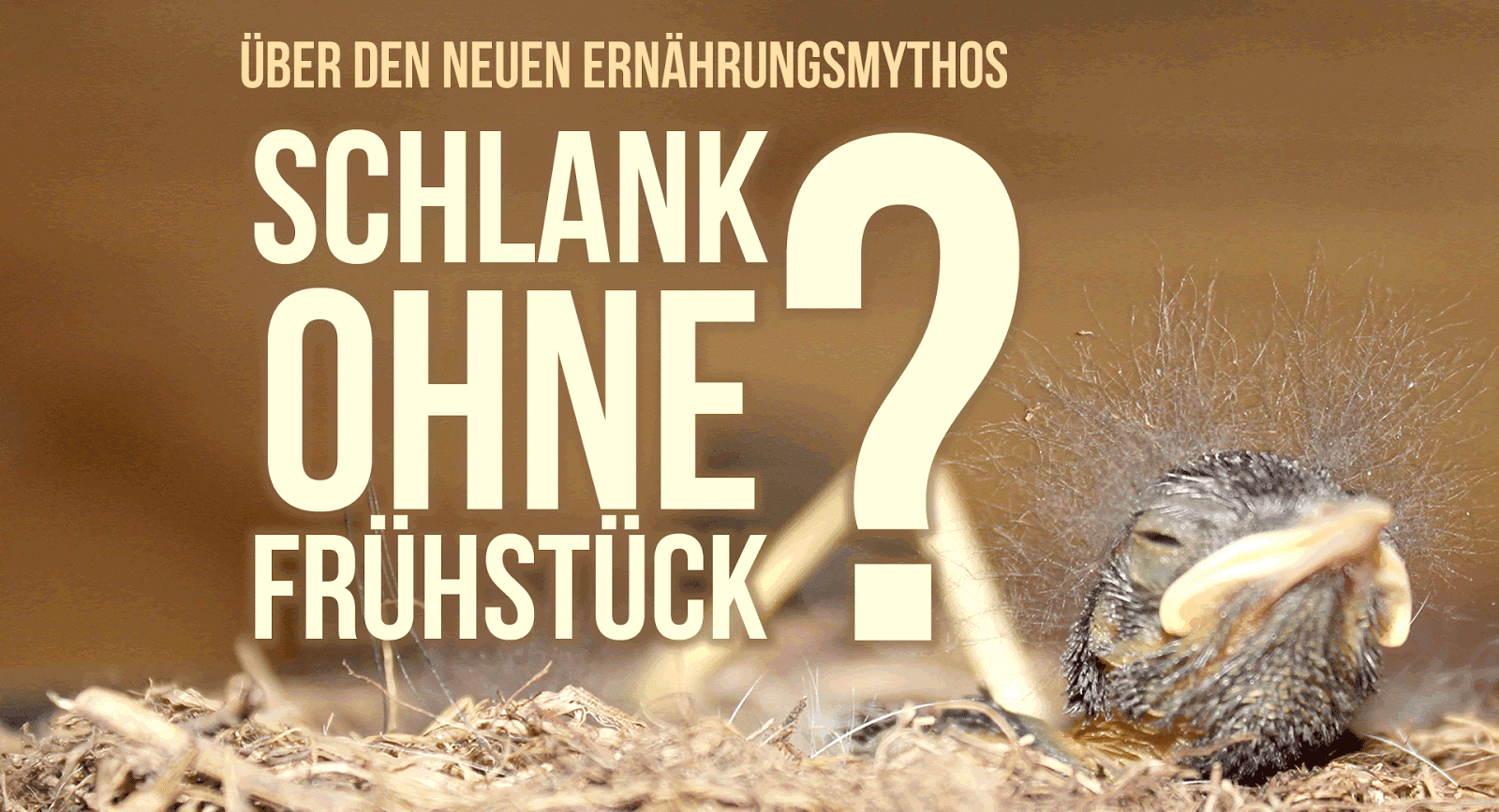 Nicodavinci Slowcarb Experte Und Futter Rebell Ich Nehme Das Mal Zum Anl Und Erkläre Ein Paar Dinge An Sem Beispiel übe Wenig Kritik Um Am Ende Frage Zu Beantworten Wie Unklug