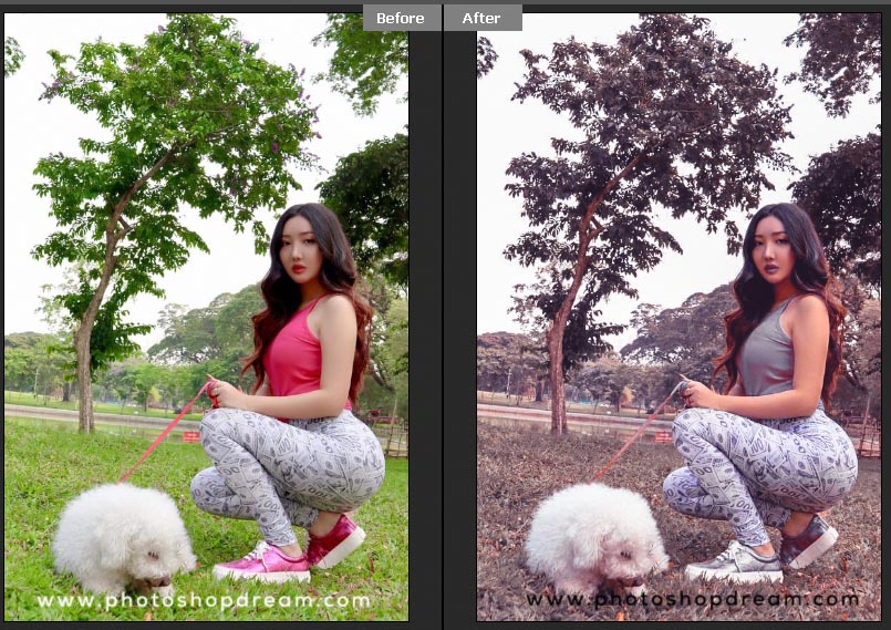 free presets free presets