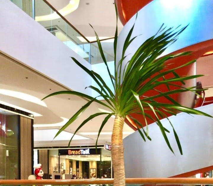 𝗙𝗥𝗘𝗘 𝗪𝗜𝗥𝗘𝗟𝗘𝗦𝗦 𝗖𝗛𝗔𝗥𝗚𝗜𝗡𝗚 𝗦𝗧𝗔𝗧𝗜𝗢𝗡 at SM Seaside Cebu Lowbat? No Problem