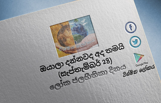 දවසේ වැදගත්කම - සැප්තැම්බර්‌ 28 ලෝක ජලභීතිකා දිනය (Significance Of The Day - September 28 World Rabies Day) - Your Choice Way