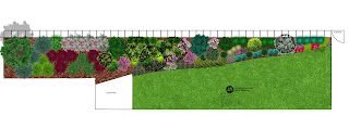 ogród przy płocie, zielona ściana, żywopłot, projekt żywopłotu