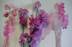 sweet pea watercolour watercolor jean watercolours haines afternoon painted fleurs