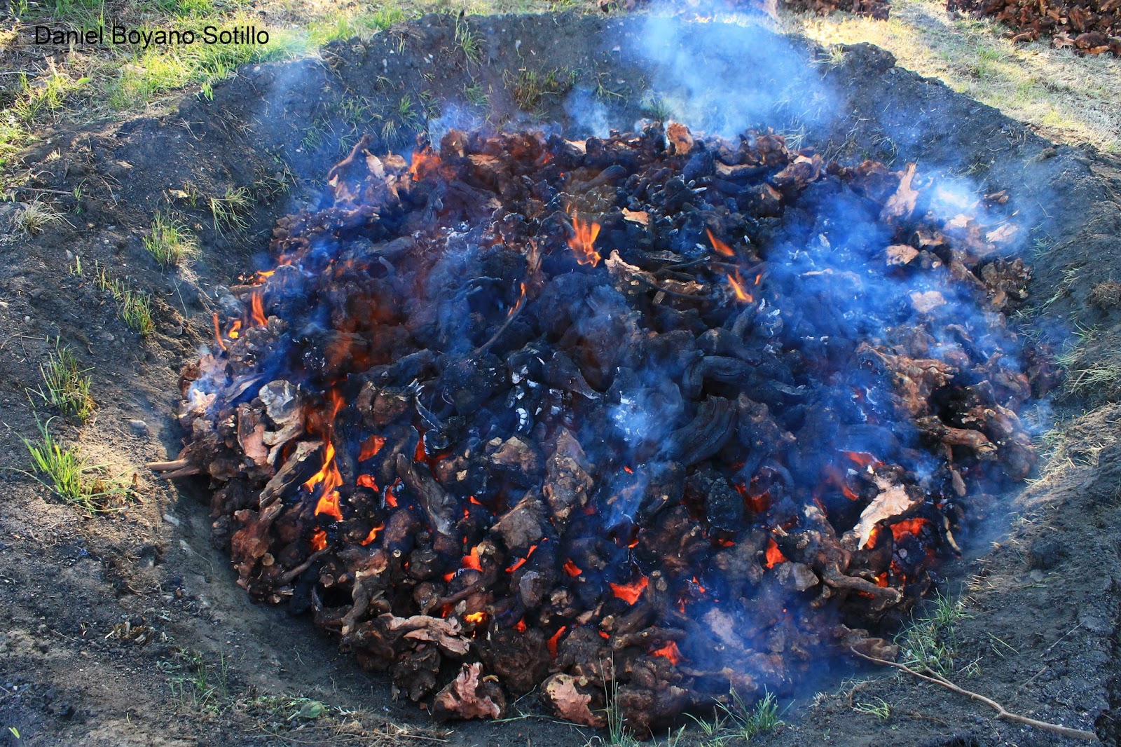 El huerto del pozo: Elaboración tradicional de carbón vegetal en Sanabria