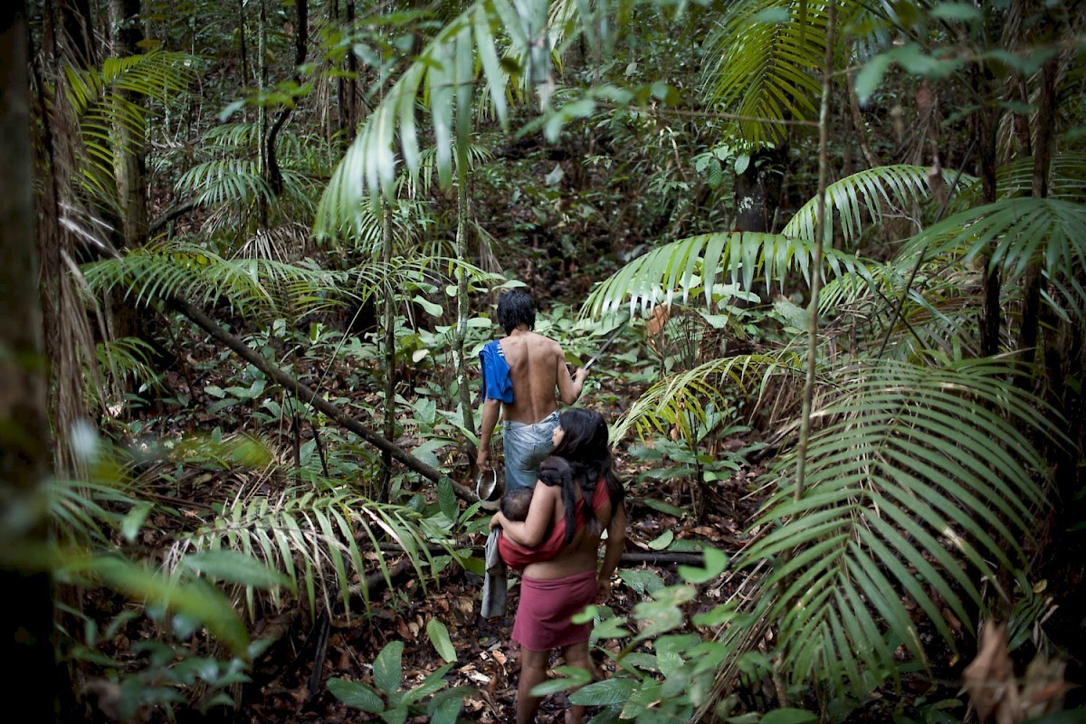 Джунглях живут люди. Племя Пираха. Джунгли Южной Америки. Население джунглей.