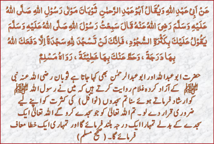 Islam Encyclopedia Daily Quran And Hadith