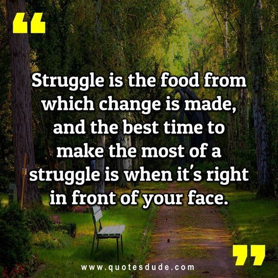 Inspirational Quotes About Life And Struggles