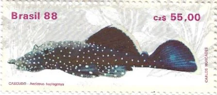 Selo peixe cascudo