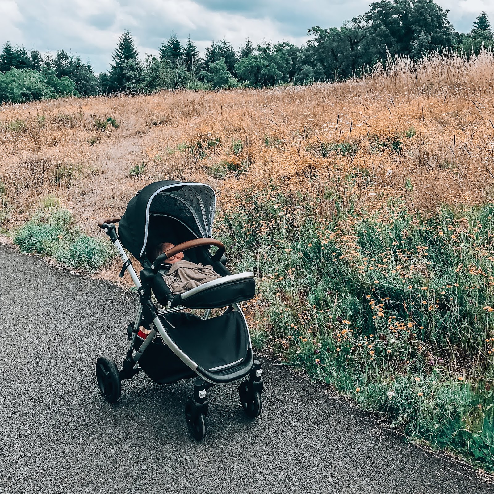 felix one stroller review