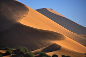 Namibia III - Namib-Naukluft