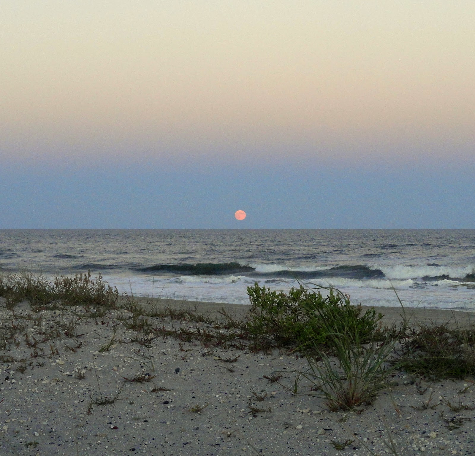 Wildwood Weather Sunny Full Moon Sunday