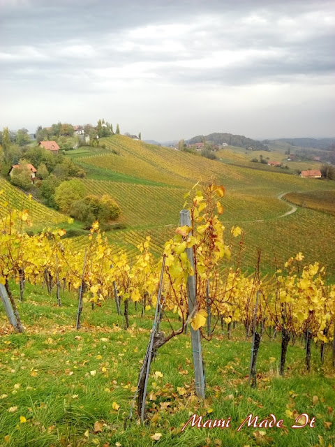 Südsteiermark - South Styria