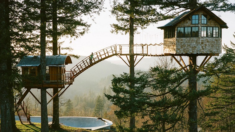 NOW ~ Back to treehouses